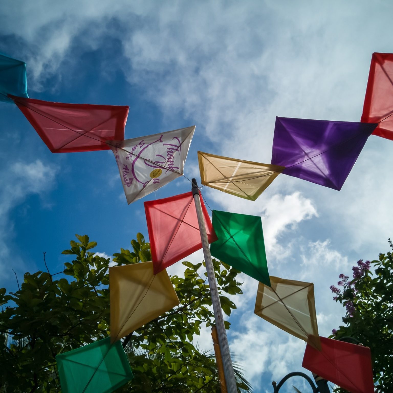 low angle colorful kites tied to the pole 2025 03 08 05 29 38 utc 1 1536x1536