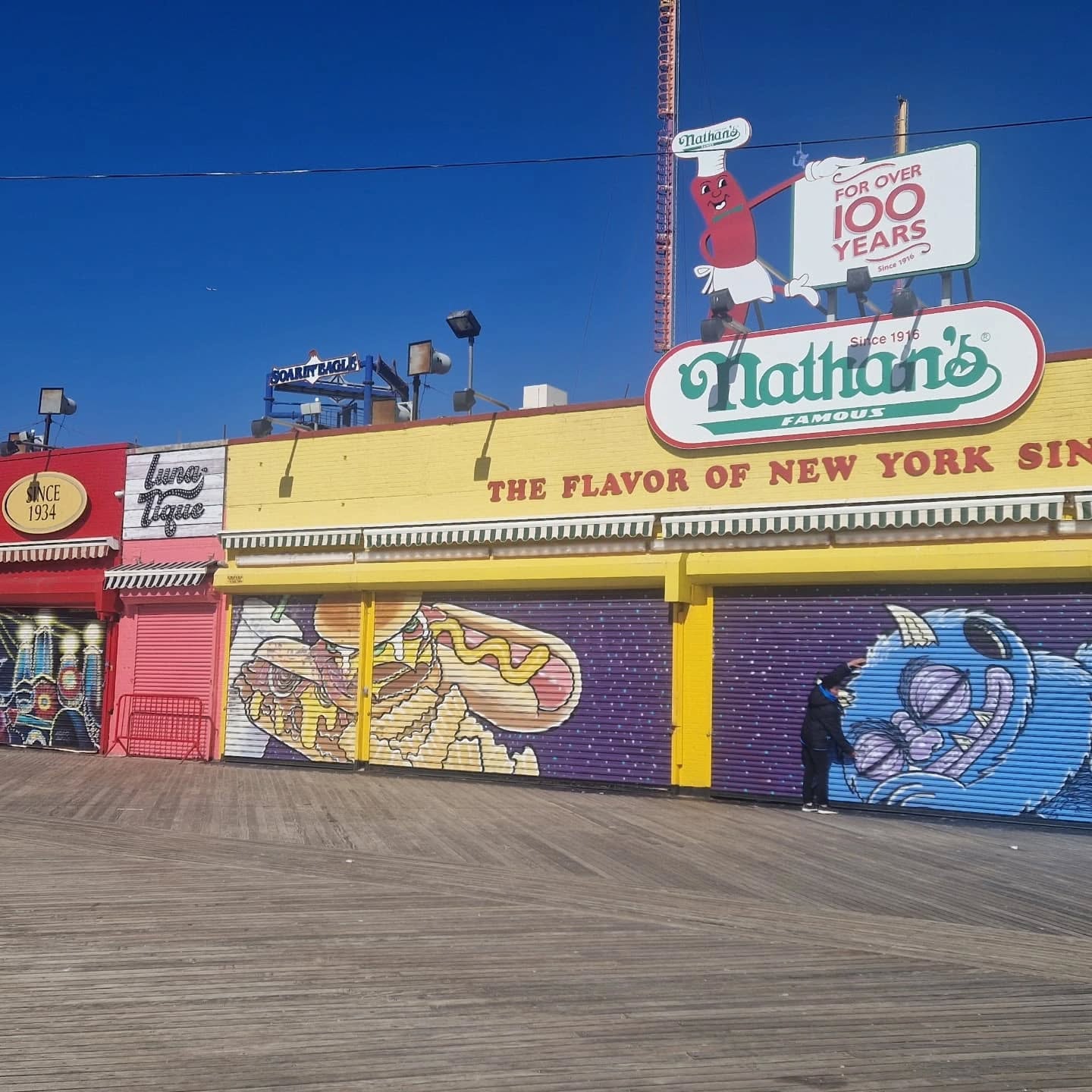 nathans hotdog